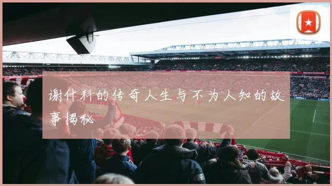 谢什科的传奇人生与不为人知的故事揭秘