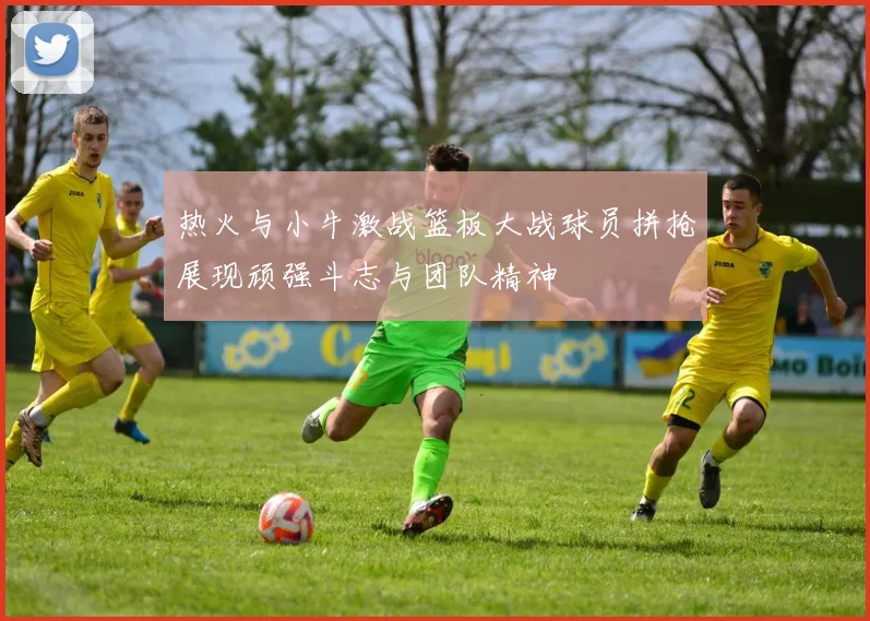 热火与小牛激战篮板大战球员拼抢展现顽强斗志与团队精神