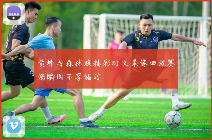 黄蜂与森林狼精彩对决录像回放赛场瞬间不容错过