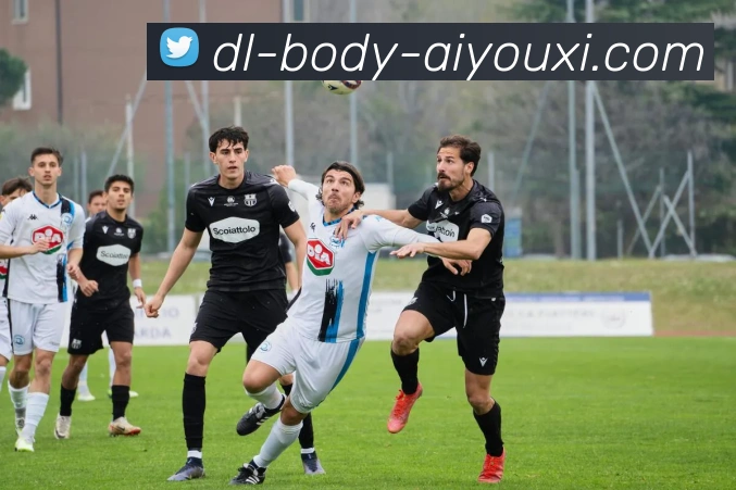 爱游戏平台生态图